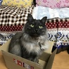 の写真
