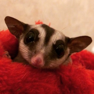 沢山のお問い合わせんありがとうございました！