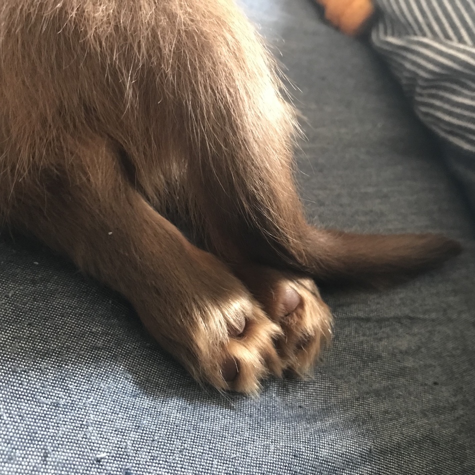 カインのカバー写真