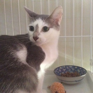 すっと通った鼻筋がチャームポイント