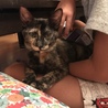 くまこ