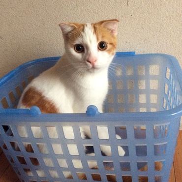 の写真
