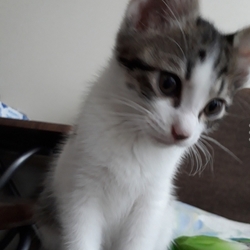 おめでとう(^.^)/~~~