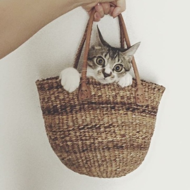 早耶花さんのカバー写真