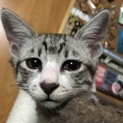 ペアで募集します。