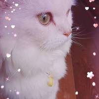 わたり　たぁくん