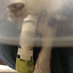 こんな事例がありました、その後