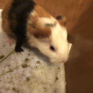 8／26産まれです☆