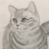 EVEにゃん さん