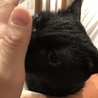 手、臭うにゃ。