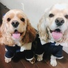 かつなつ母