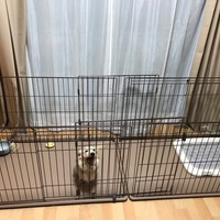 くぅ