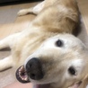 の写真