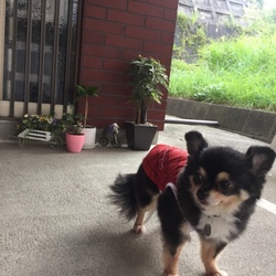 田舎でリラックス！