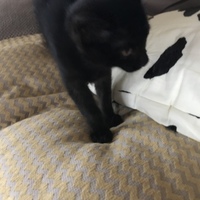 キキ【相互ファン登録募集中】