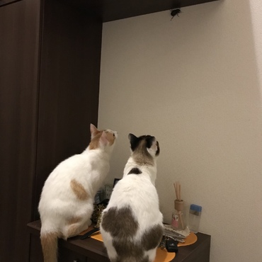 あれって？