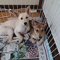 今、ちょっとした大家族です^_^;