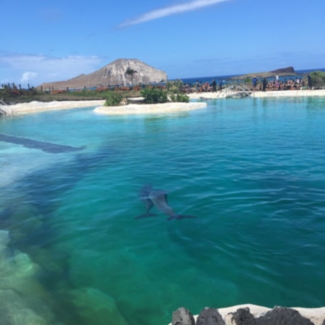 komachi15のカバー写真