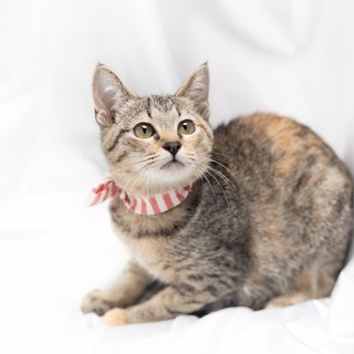 おっとり可愛いエピちゃん♡