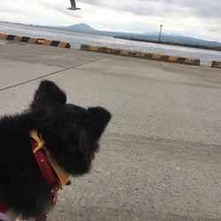 「てくてくあるくよ どこまでも」サムネイル3