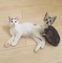 情報更新♡新規投稿をご覧ください
