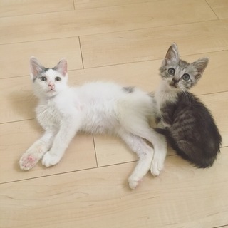 情報更新♡新規投稿をご覧ください