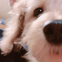 みるく