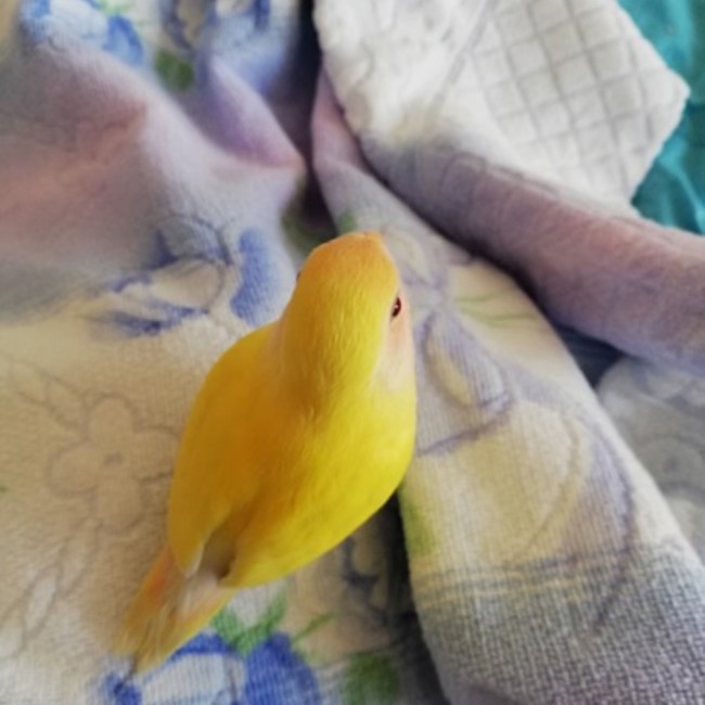 dwbh84のカバー写真