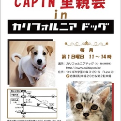 CAPIN いぬ・ねこ里親会inカリフォルニアドッグ
