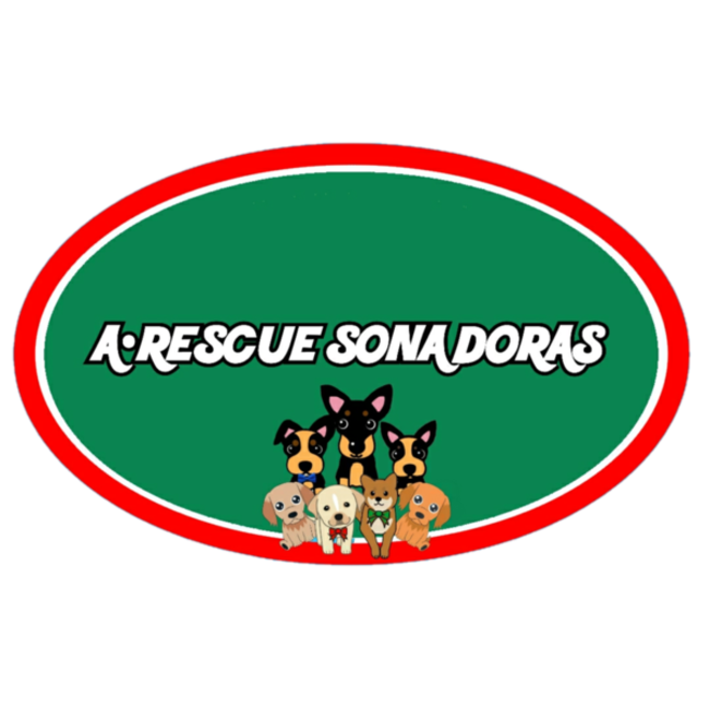 SONA DORASのカバー写真