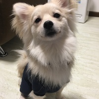 ネロ