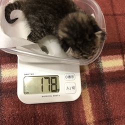 7月30日 生後8日 開眼