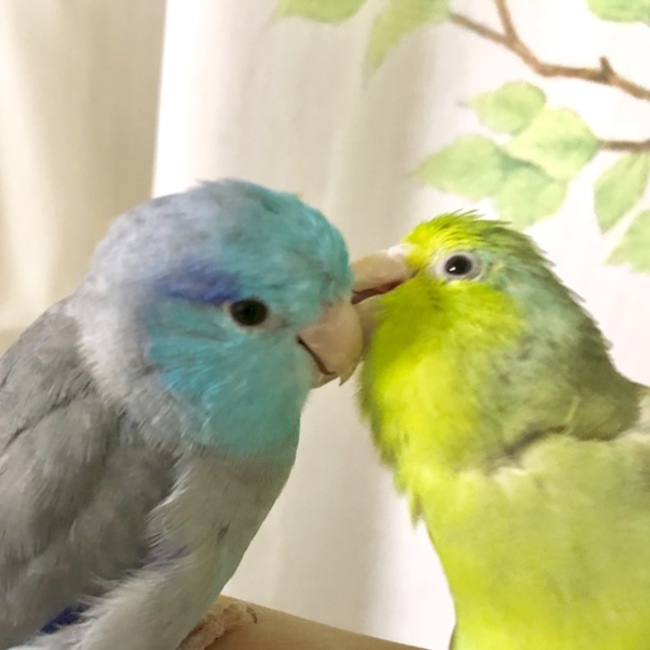 09のカバー写真