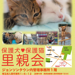 入間市ジョンソンタウン犬猫里親会
