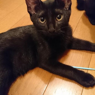 性格いいよ～！その子ちゃん