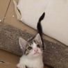 の写真
