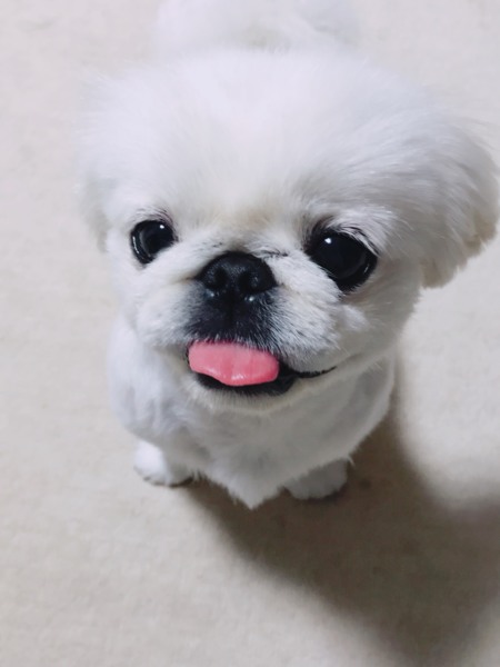 たお