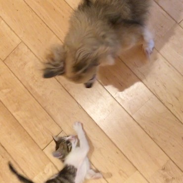 の写真
