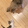 の写真