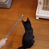 おとぼけ癒し系コナン君 サムネイル7