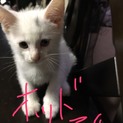オッドアイの男の子