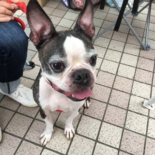 見れば見るほど可愛い❗️