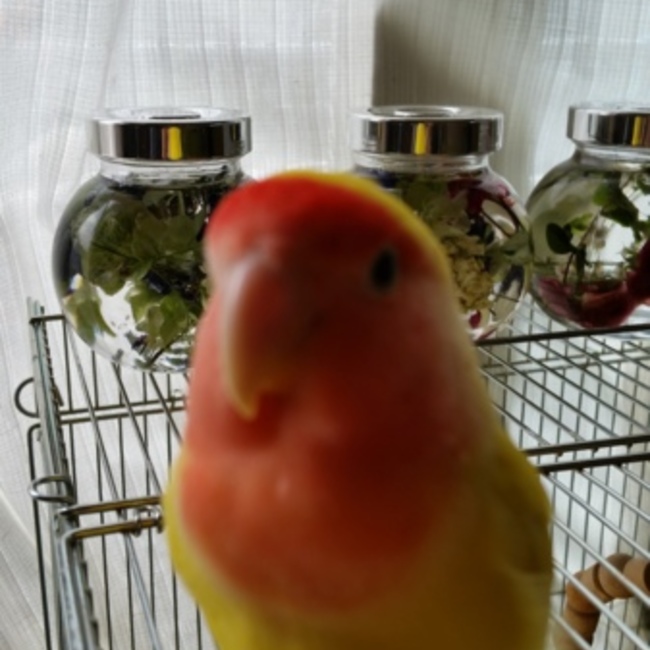 さー26のカバー写真