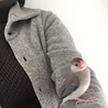 2018.3上旬 まといちゃん