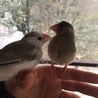2018.2 雪を初めて見たね！