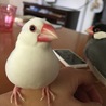 初めての夏は暑かったねー。