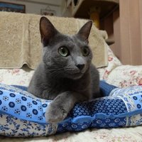 ルナ
