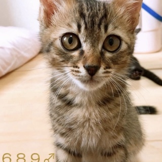 管理番号：OS−689