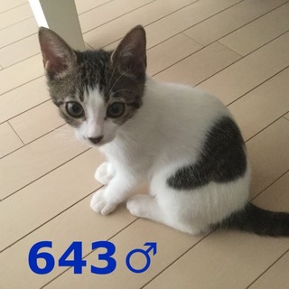 管理番号：OS−643