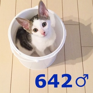 管理番号：OS−642